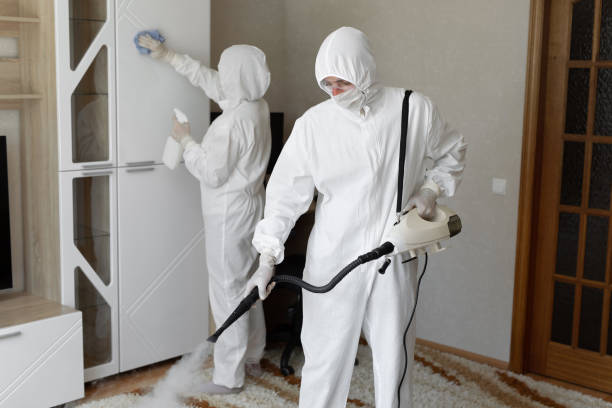 Best Mold Remediation for Specific Building Types in Iraan, TX