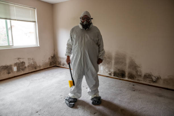 Best Kitchen Mold Remediation in Iraan, TX